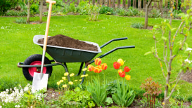 Best Garden Wheelbarrows
