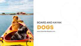 Dogs And Kayaks | Board and Kayak