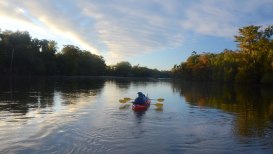 Water Trail Of Flint River Kayaking: An Amazing Guide