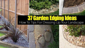 Ideas for Garden Edges That Are Inventive, Affordable