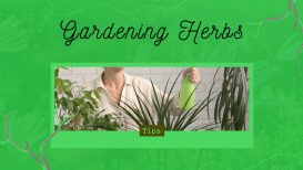 Gardening Herbs 