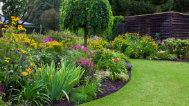 Are You Happy With The Way of Growing a Garden on a Roll?
