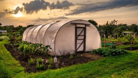 Greenhouses, Polytunnels, And More To Extend Growing Season
