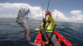 Why Hobie Kayaks Are The Best Choice For Fishing?