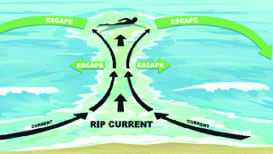 Undertow Vs Rip Current & How To Avoid Them