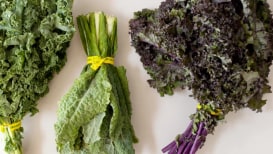 Everything You Need To Know About Kale