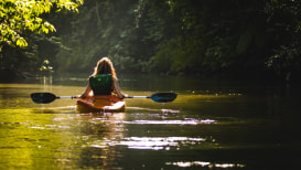 Top 5 Canoe Paddles For Any Canoe Adventure