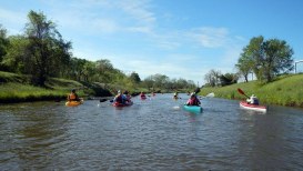 Kayaking Houston: 9 Of The Best Places To Kayak In Houston