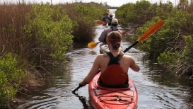 Kayaking And Paddling In NC: Best Kayaking In North Carolina