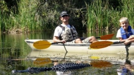 Is It Safe To Kayak With Alligators?