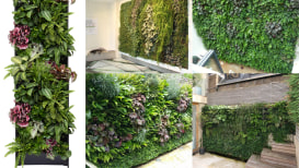 How To Build A Plant Wall & 41 Awesome Plant Wall Ideas