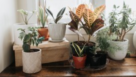 41 Best Planters And Pots For Indoors And Outdoors