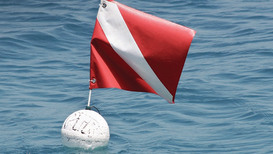 When You See A Red Flag With A White Diagonal Stripe, Do This