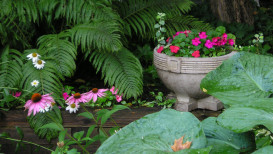 35 Step Guide To Shade Gardening Ideas