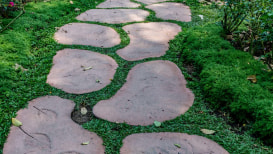 Stepable Plants: Suitable for Paths And Walkways