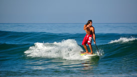 Surfing Stand-Up Paddle Board