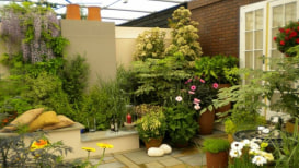 Terrace Gardening: 35 Best Ideas & An Easy Guide
