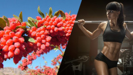 The Ultimate Guide To Berberine And Exercise  