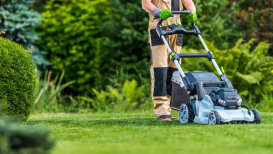 Here Are The Top 7 Electric Lawn Mowers For A Perfect Yard