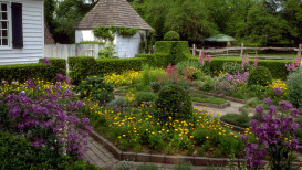 Williamsburg Gardens: Garden Guide To Colonial Williamsburg