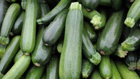 How To Sow, Raise, And Harvest Zucchini