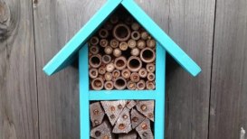 How To Build A Bees House: A Step-By-Step Guide