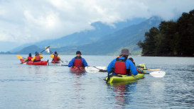 What Are The Best Kayak Brands, And Which Should You Avoid?
