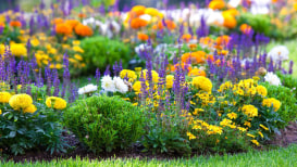 Flower Bed Idea To Decorate Your Garden