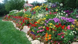 Flower Border Ideas That Will Change Your Garden Completely