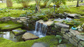 Moss Gardening: 15 Great Ideas & How To Guide