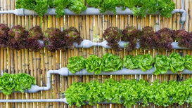  The Best Vertical Gardening Systems That Will Amaze You